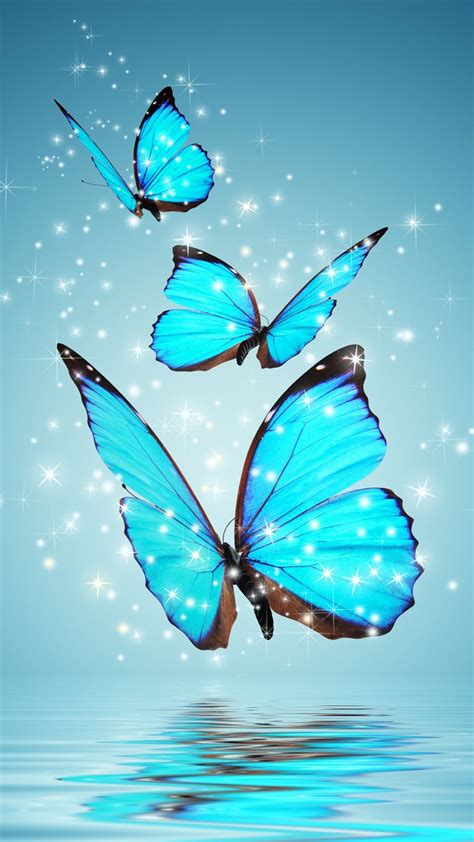 Butterfly Screensavers and Wallpapers (53+ images)