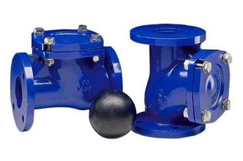 Normex Cast Iron Ball Check Valve Type Non Return Flanged At Best Price