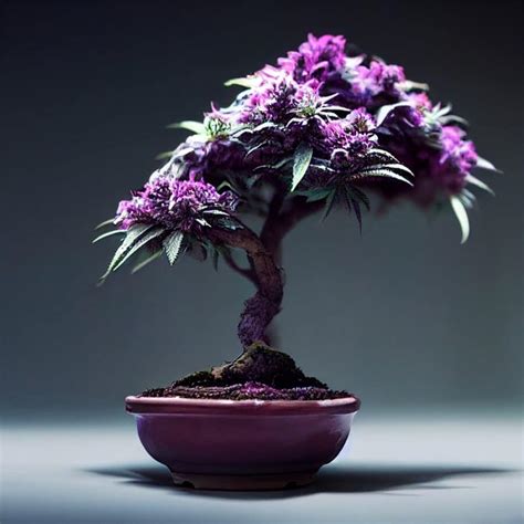 Growing A Cannabis Bonsai Tree A Step By Step Guide The Seed Fair