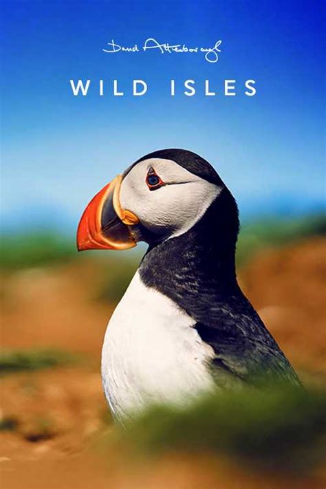 Wild Isles 2023 Season 1 Fwlolx The Poster Database TPDb