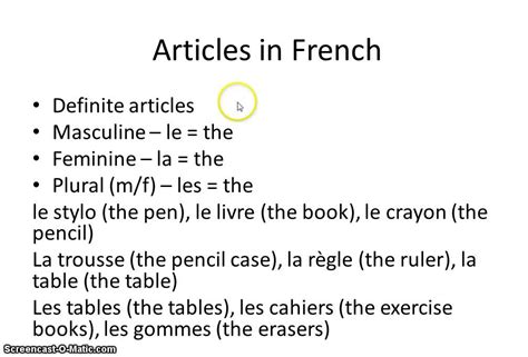 French Masculine And Feminine Gender Singular And Plurals Youtube