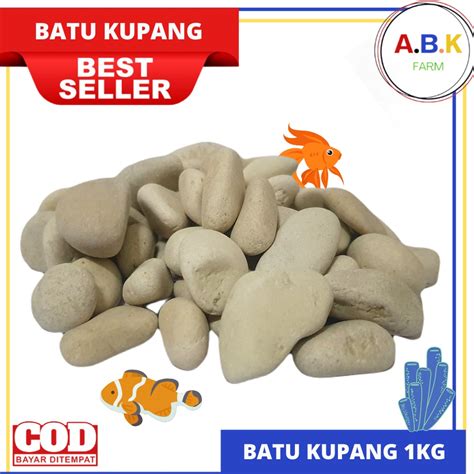 Jual Batu Alam Koral Tabur Kerikil Hias Putih Kupang Kg Shopee