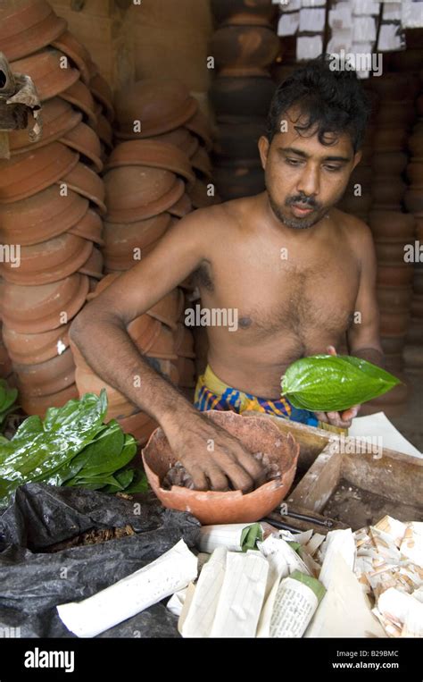 Betel Nuts Sri Lanka Hi Res Stock Photography And Images Alamy