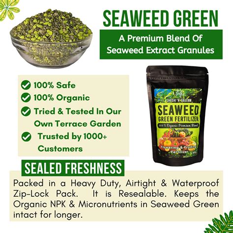 Seaweed Extract Fertilizer