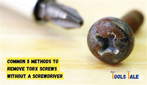 Torx Screw Hacks: How to Remove Torx Screws Without a Screwdriver