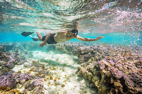 25 Faqs Hanauma Bay Hawaii Snorkeling Travel Guide Life Simile