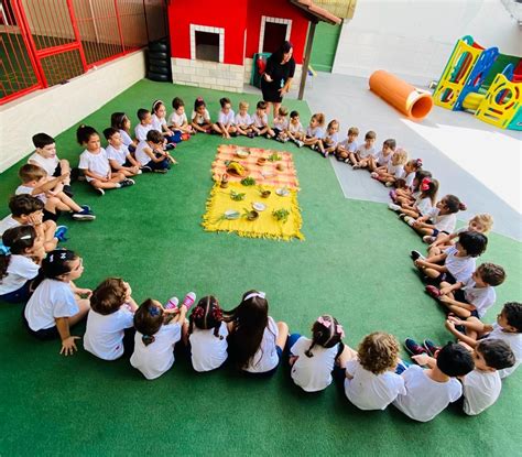 Cultura Ind Gena Educa O Infantil Multim Dia Bal O Vermelho Alicerce