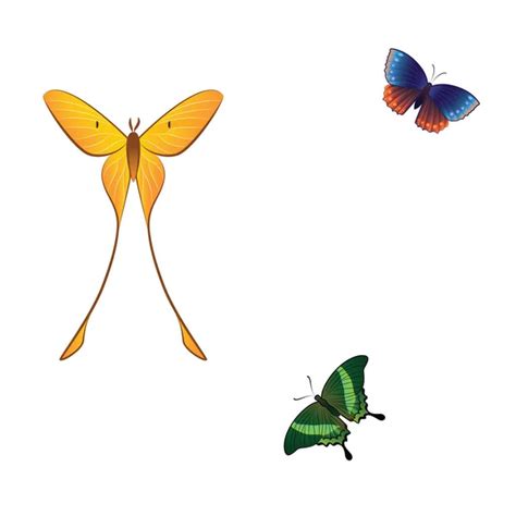 Flying Butterfly Animation In Flash