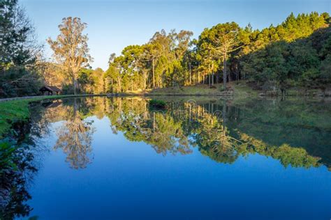 Southern Brazil Countryside And Lake Reflection Landscape At Peaceful