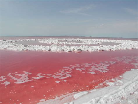 A Masterpiece Of Land Art Spiral Jetty By Robert Smithson Artsper