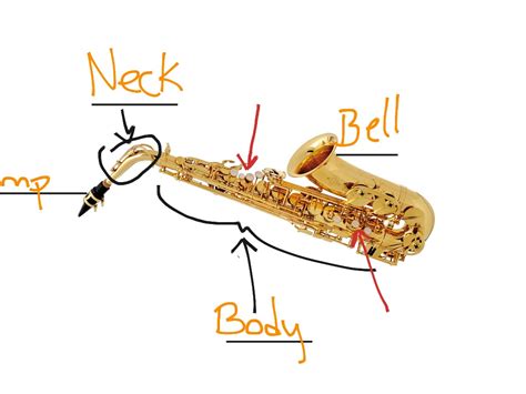 Saxophone Diagram