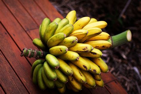 Benef Cios Da Banana Ouro Fruta