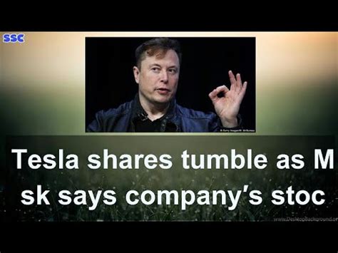 Tesla Shares Tumble As Musk Says Companys Stock Is Overvalued News DW