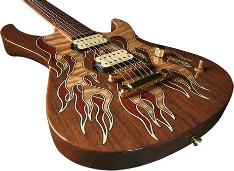 Custom Guitar Designs Gallery EBaum S World