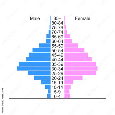 Population Pyramid Age Structure Diagram Template Example Of Population Distribution By Male