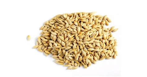 Купить Ячмень для самогона, 1 кг недорого