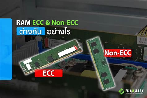 RAM ECC/Non-ECC คืออะไร? ต่างกันอย่างไร? - | PC Gallery