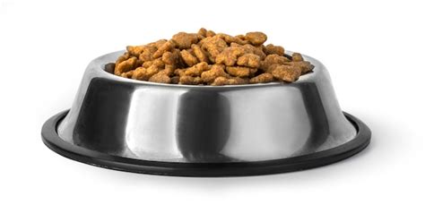 Comida Para Perros En Un Taz N Aislado En Blanco Foto Premium