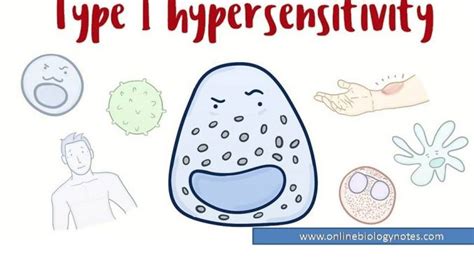 Type I Hypersensitivity Reaction Mechanism And Clinical Manifestation