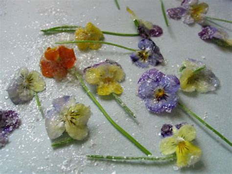 Candied Violets Recipe - Food.com | Recipe | Candied, Edible flowers ...