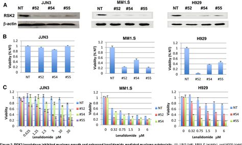 Figure 2 From LYMPHOID NEOPLASIA RNA Interference Screening Identi Fi