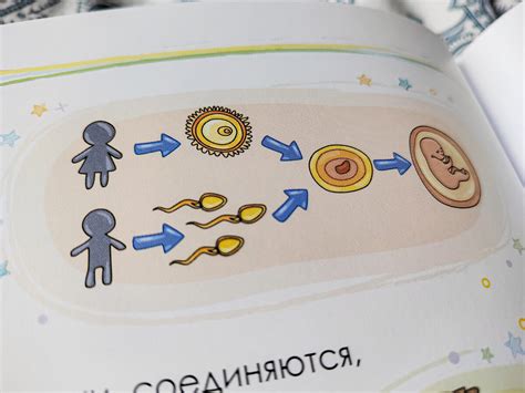 "Откуда берутся дети?" - сын спросил. Пришлось говорить правду ...