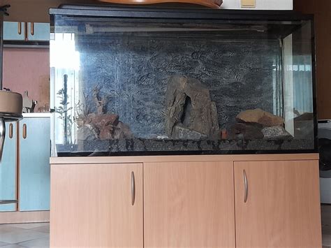 Akwarium 300 l zestaw Jonkowo • OLX.pl