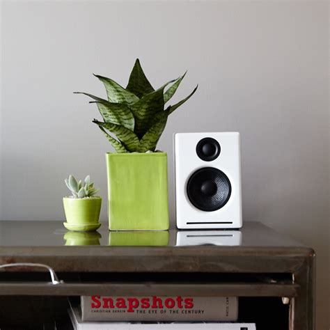 22 Amazing Bedroom Plants Low Light - Home Decoration and Inspiration Ideas