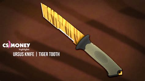 Cs Go Ursus Knife Tiger Tooth Youtube