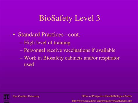 Biosafety Cabinet Classification Ppt Cabinets Matttroy