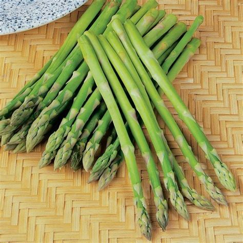 Спаржа в огороде (64 фото) » НА ДАЧЕ ФОТО