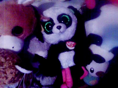 My Ty Beanie Boo Bamboo Panda Plush In Xpro Effect By Pokemonosterfanzg On Deviantart