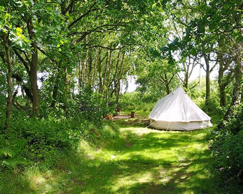 5 Woodland Campsites To Try In Uk Easy Camping Lists