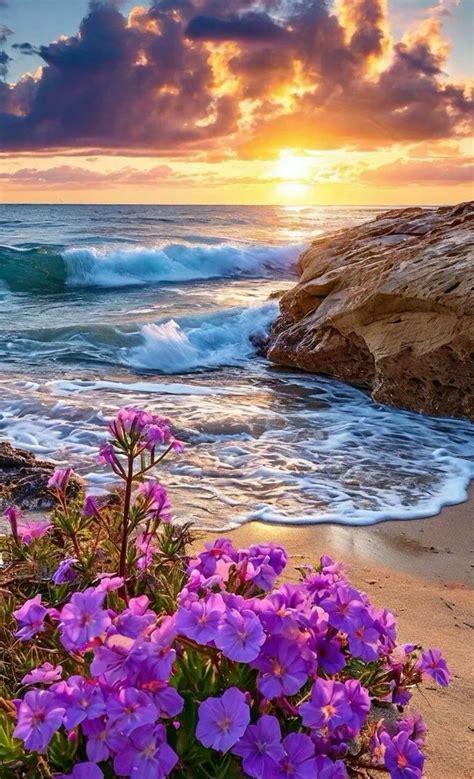 16 Boho Beach Babe Ideas In 2025 Boho Beach Babe Pretty Landscapes Pretty Wallpapers