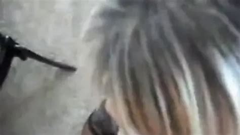 Alexia St James Ts Porn Videos Shemale Porn Star Sex Scenes Xhamster