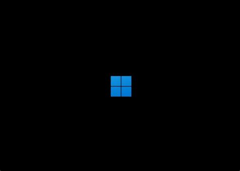 Windows 11 Logo Black