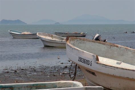 Baja producción pesquera en Oaxaca COMEPESCA A C