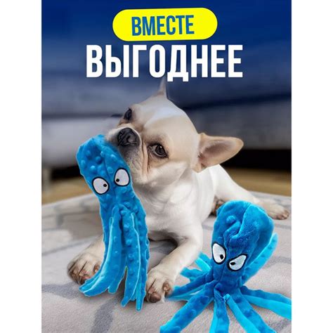 Осьминог игрушка для собак - купить с доставкой по выгодным ценам в ...