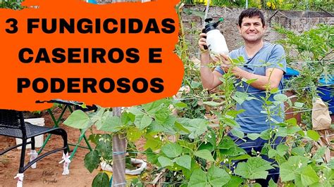 Três Fungicidas Caseiros Para As Plantas Como Acabar Com Os Fungos Das Plantas Gastando Pouco