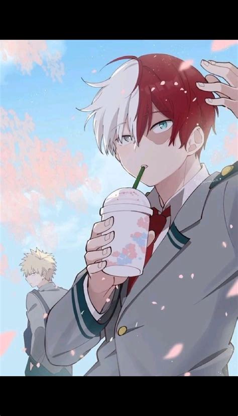 Bnha Todoroki Bnha Todoroki My Discover Share Gifs Artofit My Xxx Hot Girl