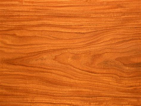 A few facts about the wood used for cabinetry - The Wood Connection