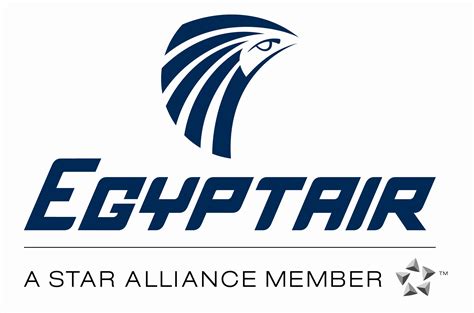 Egyptair Aviation Civile Étiquette Voyage Compagnie Aérienne