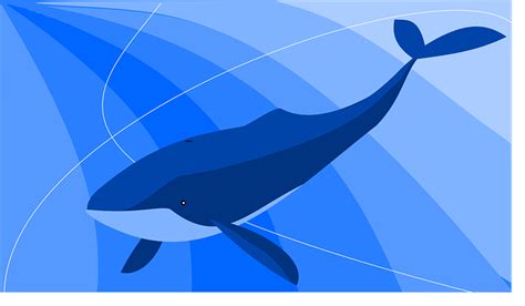 30000 Free Cartoon Whales And Whale Images Pixabay
