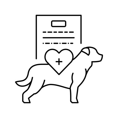 History And Physical Exam Pocketcard Set 8