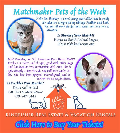 Matchmaker Pets of the Week - Sanibel-Captiva Chamber of Commerce Members