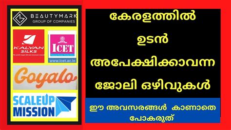 Kerala Job Vacancies Freshers Experience 2 Any Degree AnyPG BTech BCA