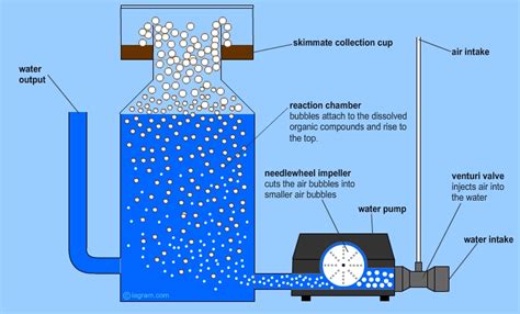 Why You Should Use A CO2 Scrubber For Your Aquarium Atlas Scientific