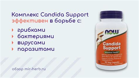 Candida Support – инструкция, состав, айхерб