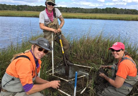 Wetland Monitoring Barnegat Bay Partnership