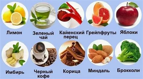 Что такое метаболизм и как его ускорить